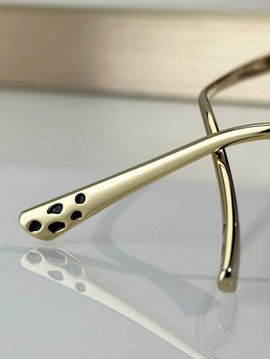 Picture of Cartier Sunglasses _SKUfw79683748fw